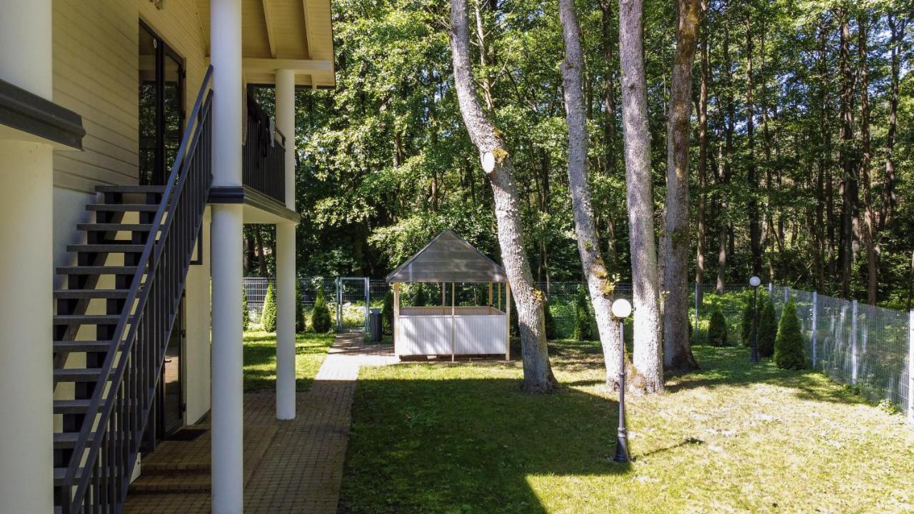 Nemirseta Forest * Palanga